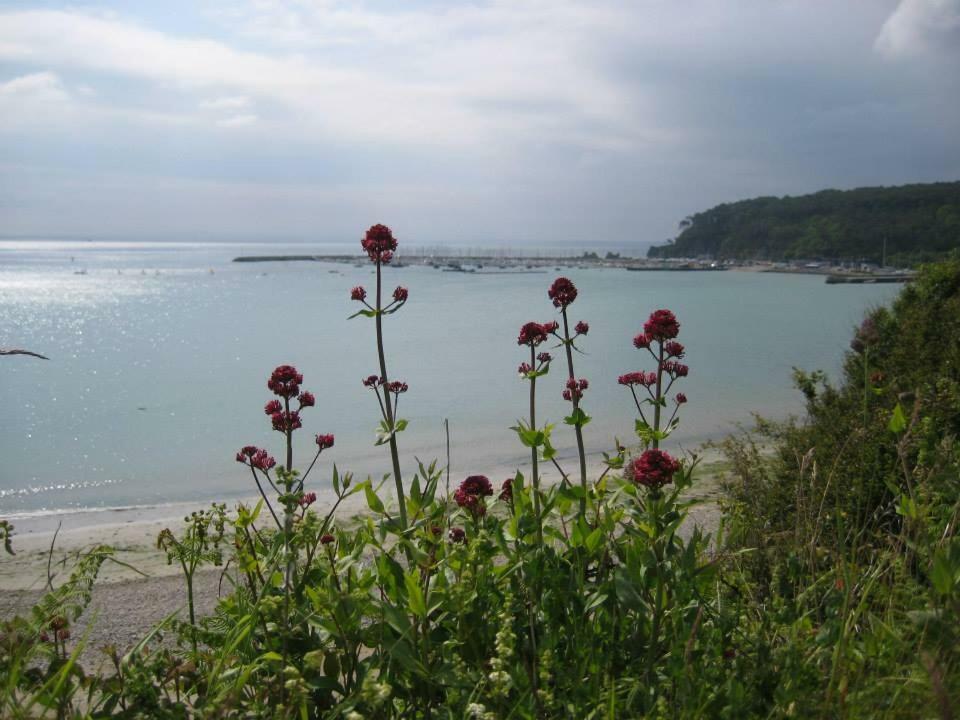 Cap Morgat Chez Jean Apartment Crozon Bagian luar foto